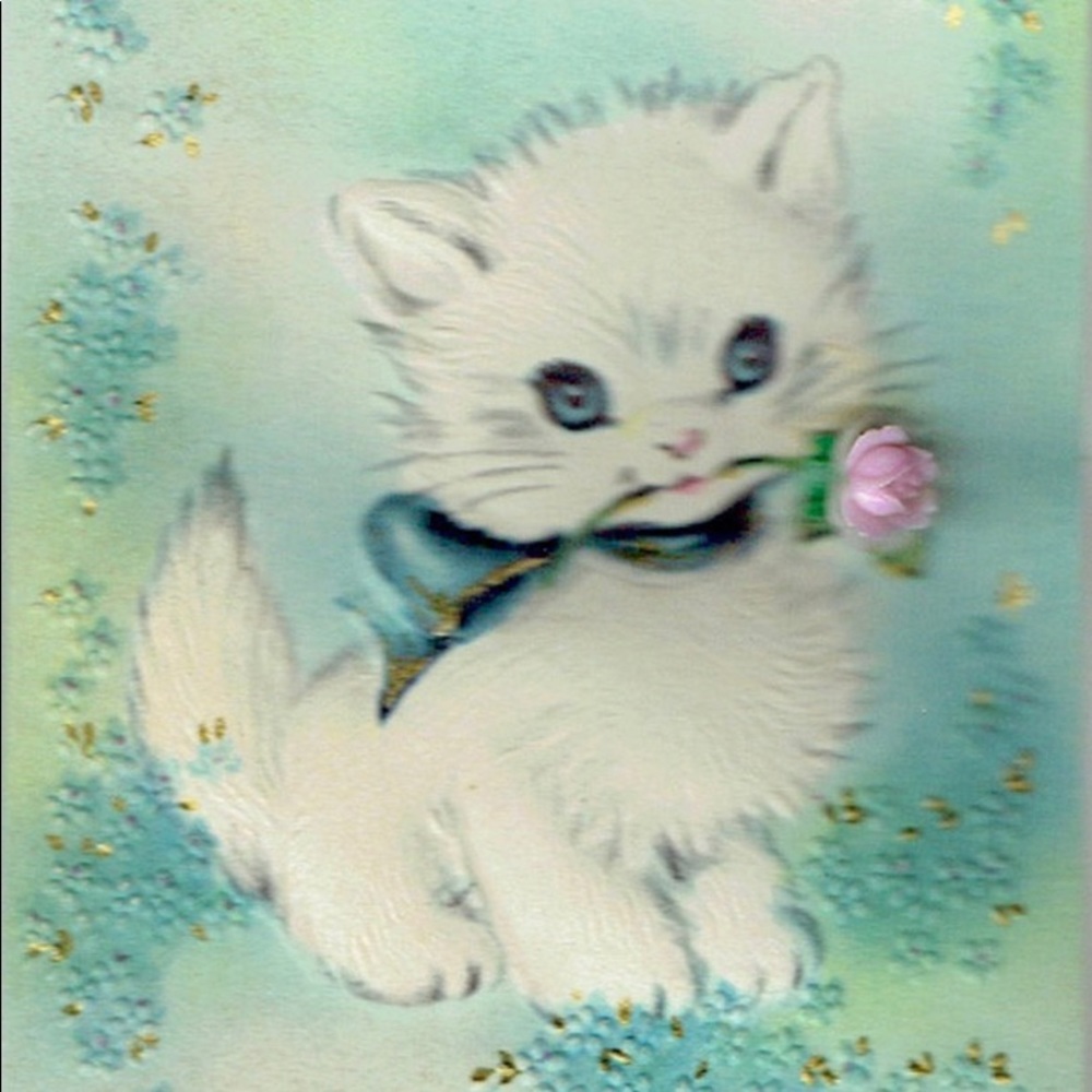 Meet your Posher, Raini